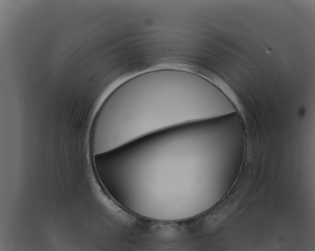 X0000091730955200708241041