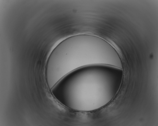 X0000091730956200708241041