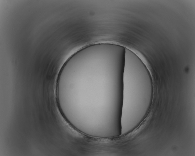 X0000091730957200708241041
