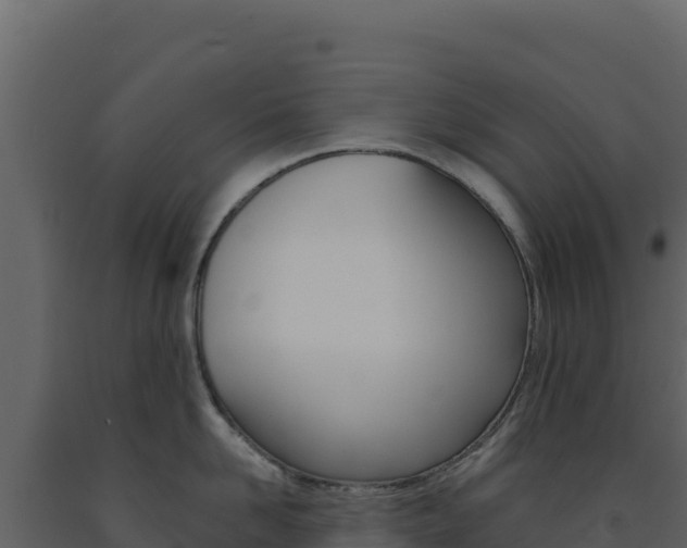 X0000091730958200708241041