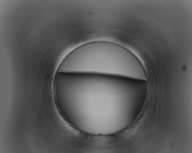 X0000091730959200708241041
