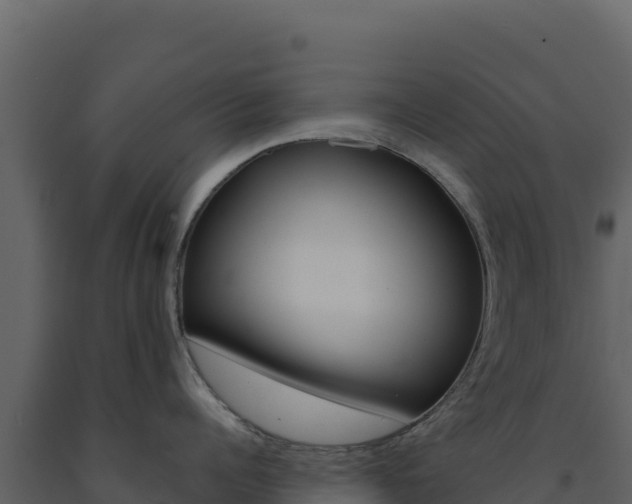 X0000091730960200708241041
