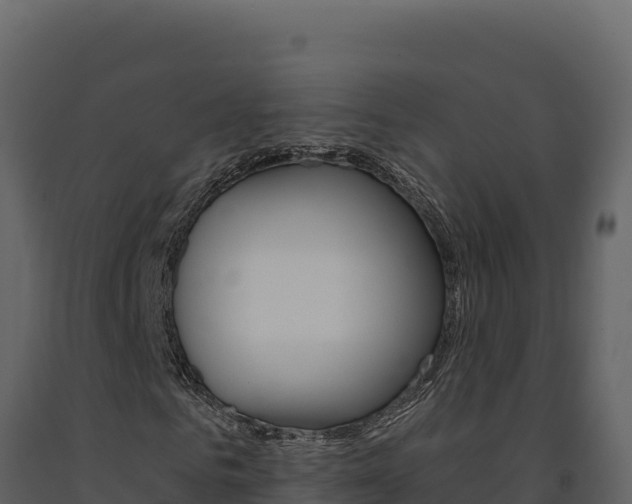 X0000091730961200708241040