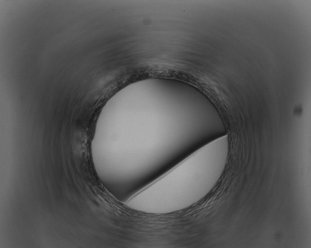 X0000091730964200708241040