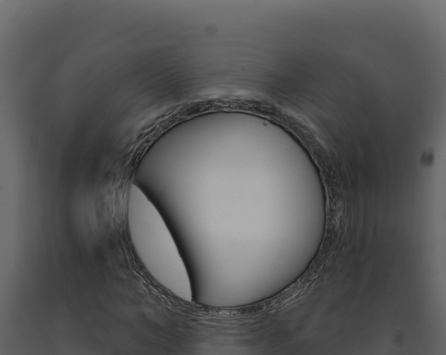 X0000091730966200708241040
