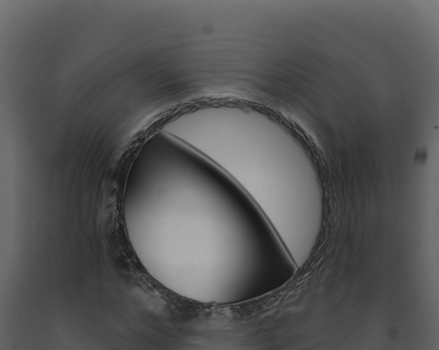 X0000091730968200708241040