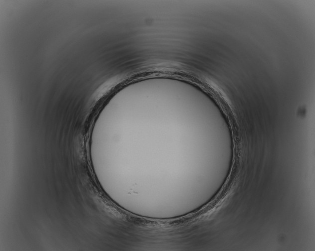 X0000091730970200708241040