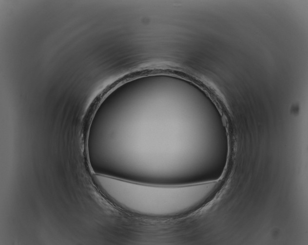 X0000091730973200708241040