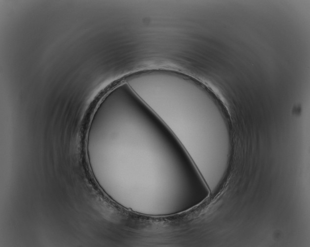 X0000091730975200708241040