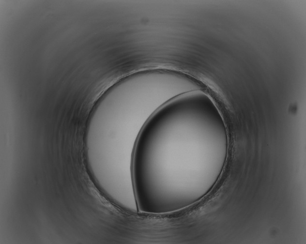 X0000091730977200708241040