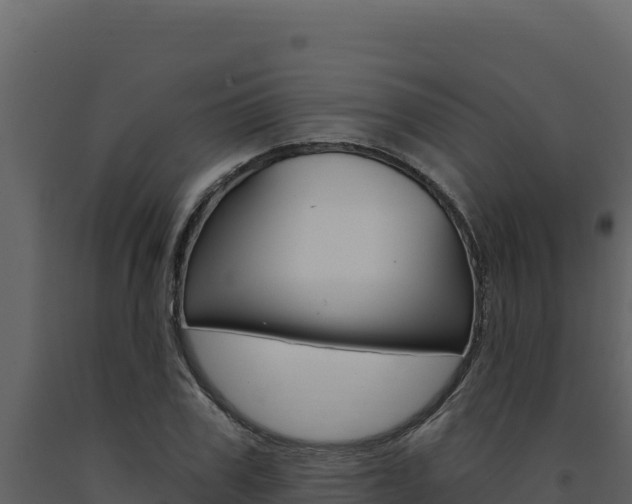 X0000091730979200708241040