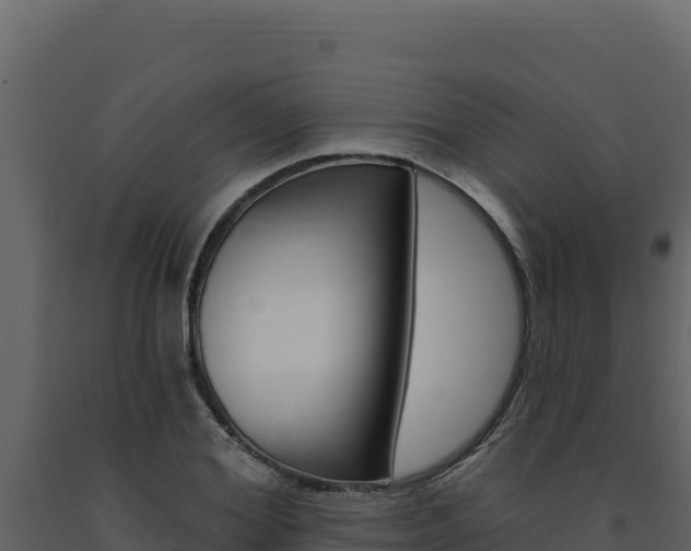 X0000091730980200708241040