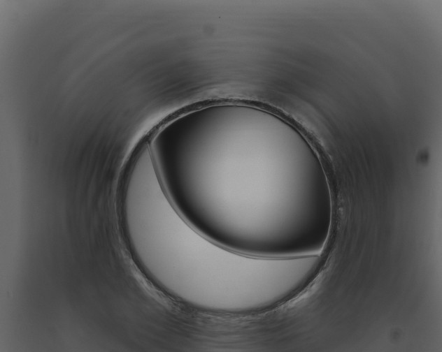 X0000091730981200708241040