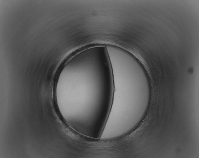 X0000091730984200708241040