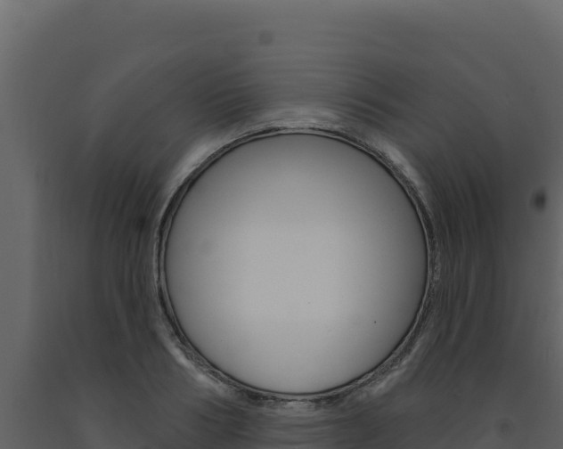 X0000091730986200708241040