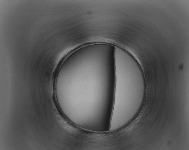 X0000091730987200708241040