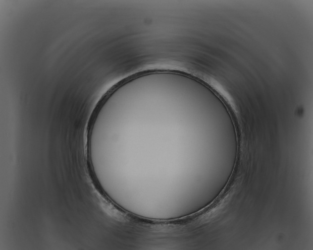 X0000091730988200708241040