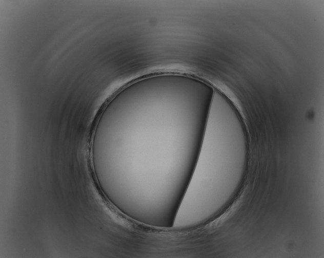 X0000091730989200708241040