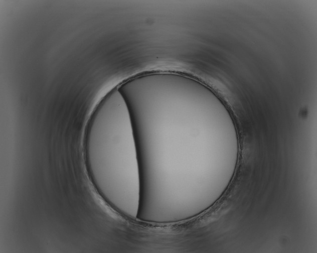 X0000091730990200708241040