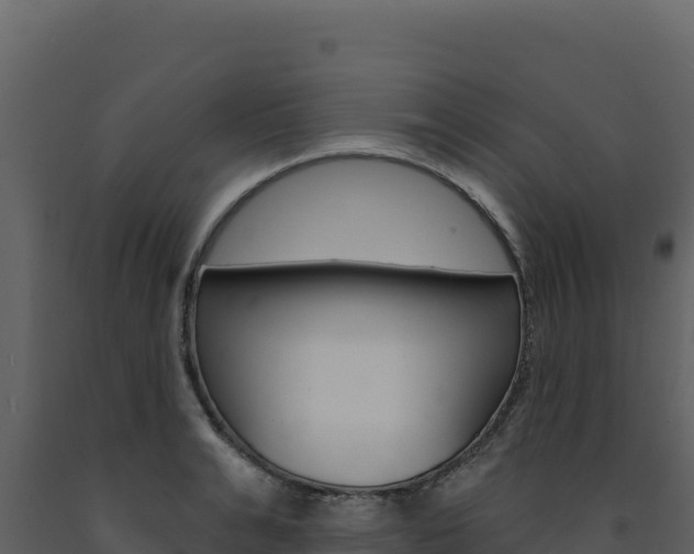 X0000091730991200708241040