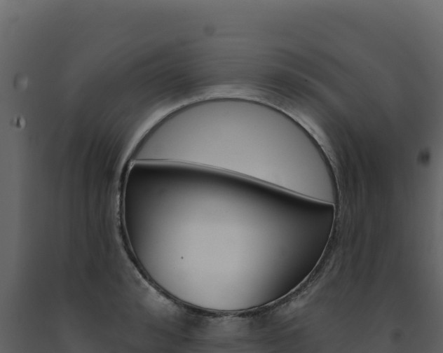 X0000091730992200708241040