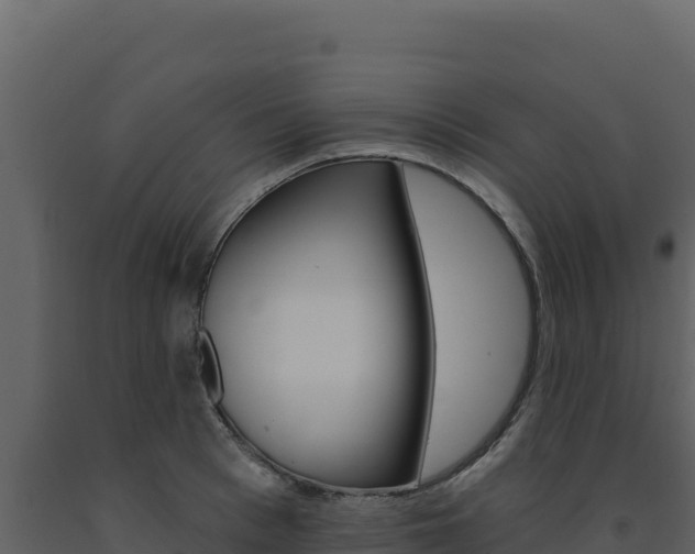X0000091730993200708241040