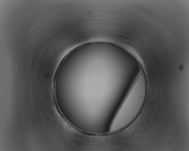 X0000091730996200708241040