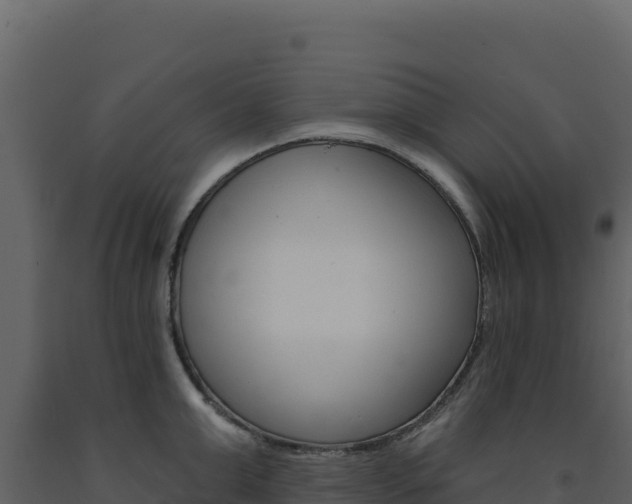 X0000091730999200708241040