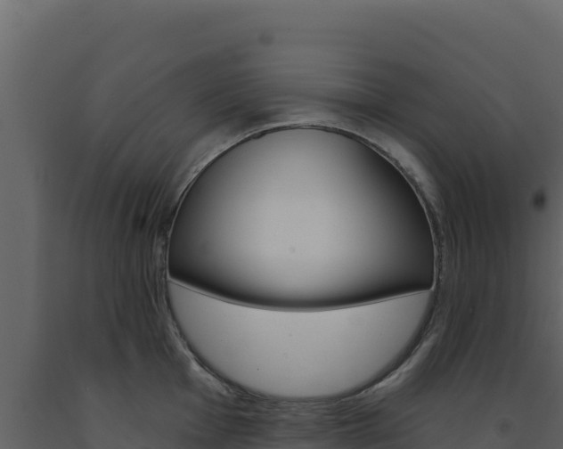 X0000091731001200708241040