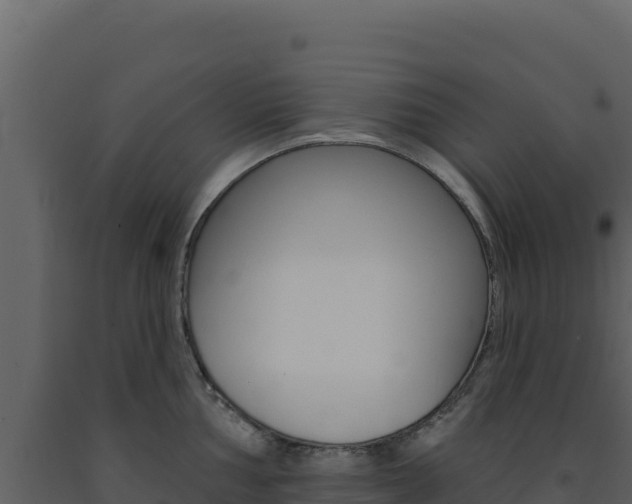 X0000091731002200708241040