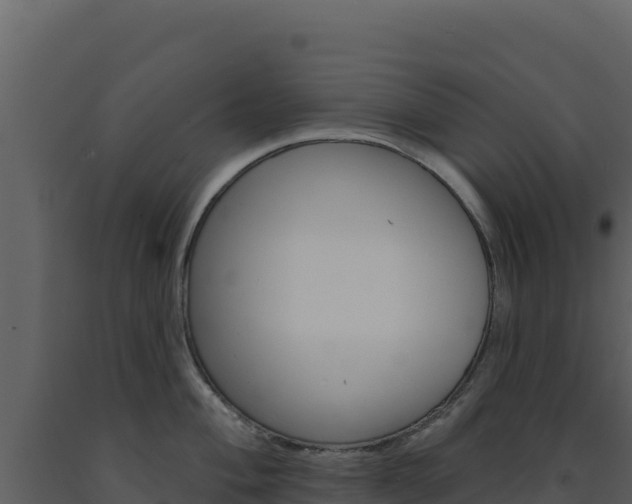 X0000091731004200708241040