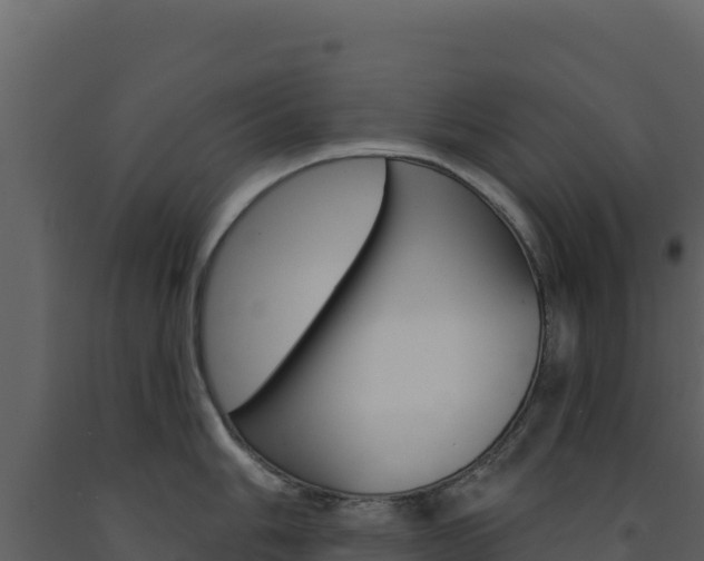 X0000091731006200708241039
