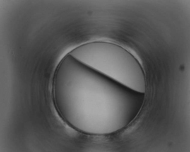 X0000091731007200708241039
