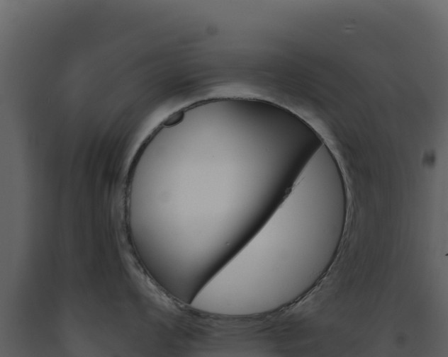 X0000091731008200708241039