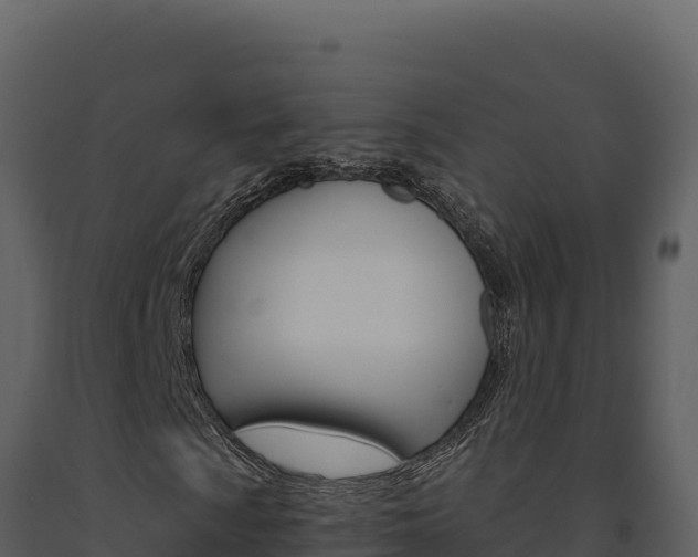 X0000091731009200708241039