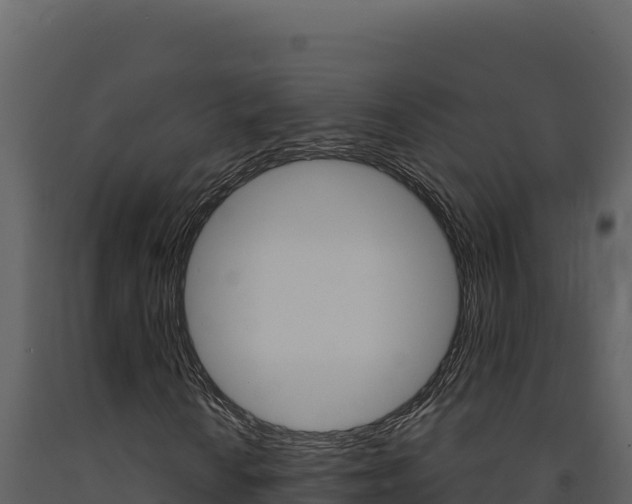 X0000091731010200708241039