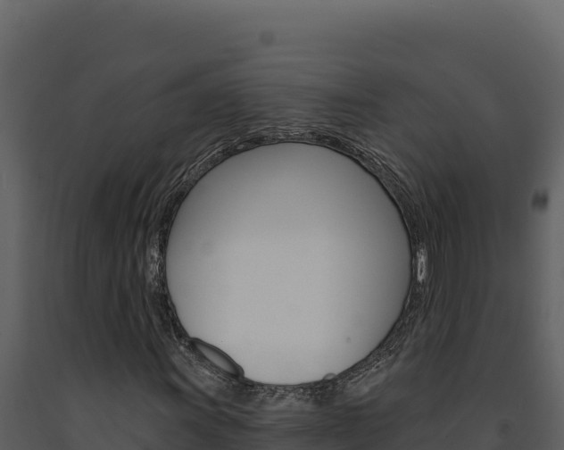 X0000091731011200708241039