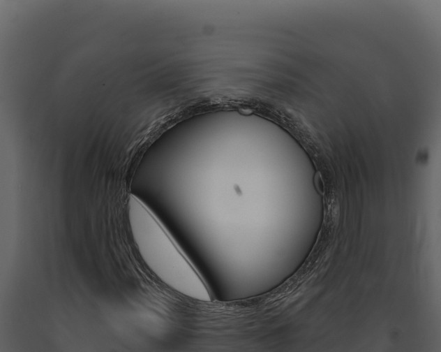 X0000091731012200708241039