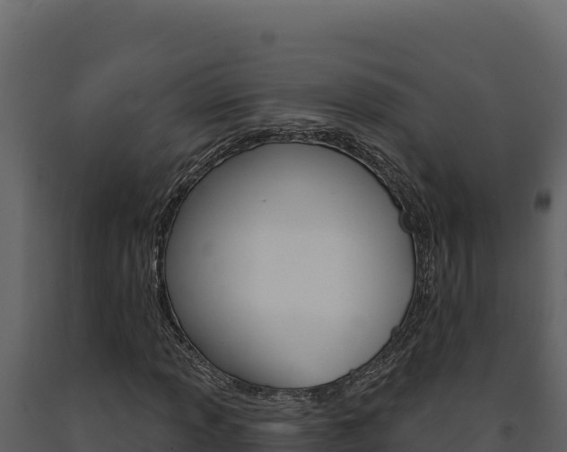 X0000091731013200708241039