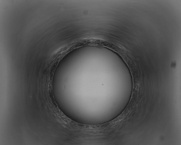 X0000091731014200708241039
