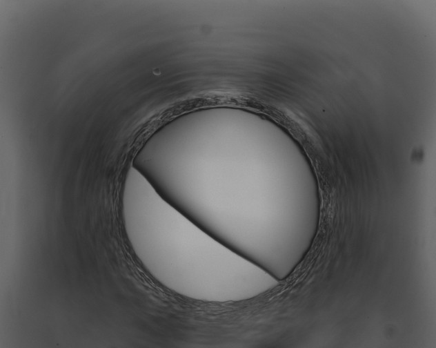 X0000091731015200708241039
