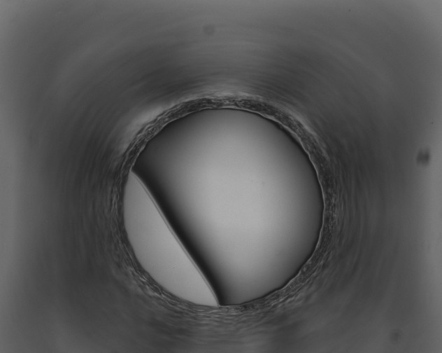 X0000091731016200708241039