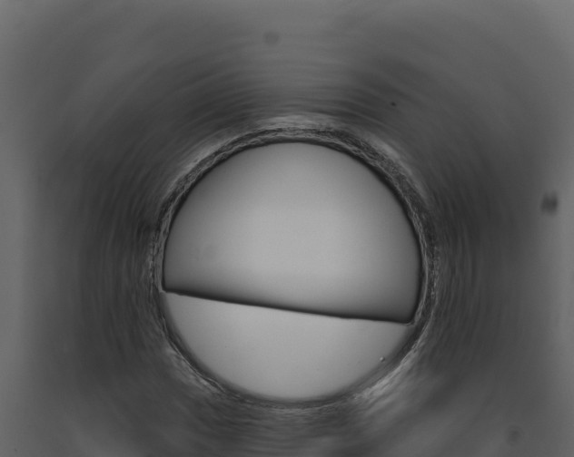 X0000091731017200708241039