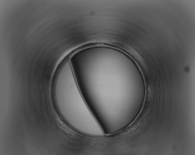 X0000091731020200708241039