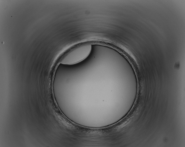 X0000091731021200708241039