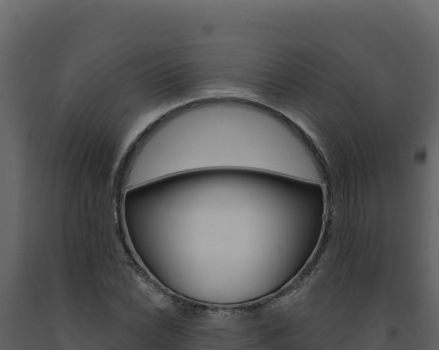 X0000091731022200708241039