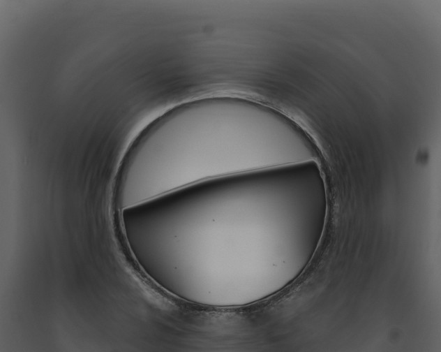X0000091731024200708241039