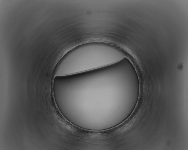 X0000091731025200708241039