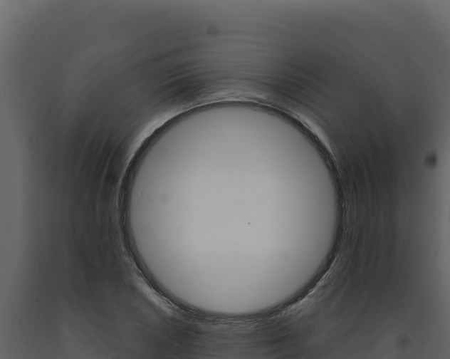 X0000091731026200708241039
