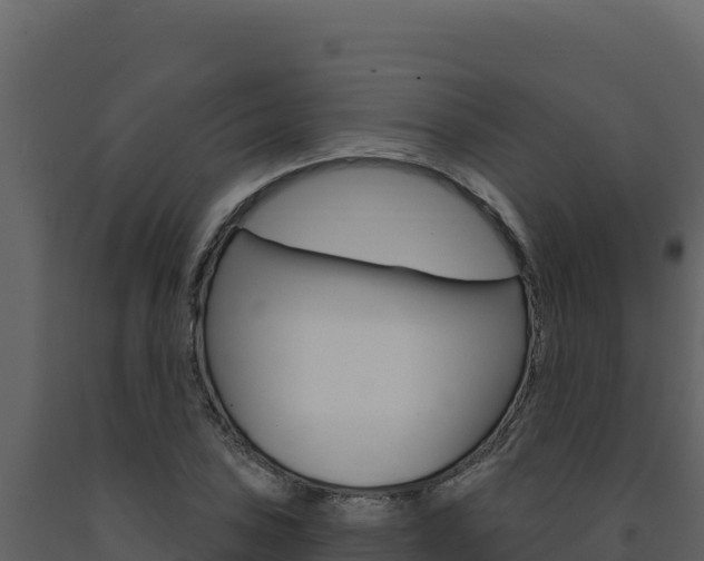 X0000091731027200708241039